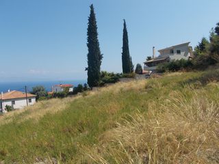 Οικόπεδο 3.000 τ.μ. για πώληση, Αχαΐα, Ακράτα-thumb-4