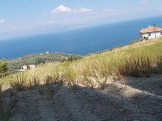 Οικόπεδο 3.000 τ.μ. για πώληση, Αχαΐα, Ακράτα-thumb-5