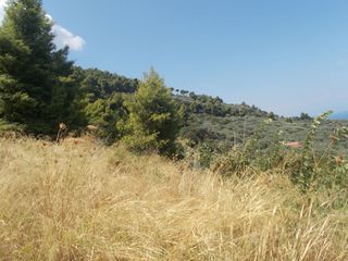 Οικόπεδο 3.000 τ.μ. για πώληση, Αχαΐα, Ακράτα-thumb-6
