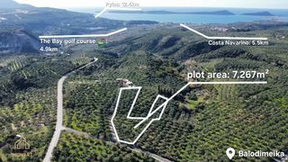Οικόπεδο 7.267 τ.μ. για πώληση