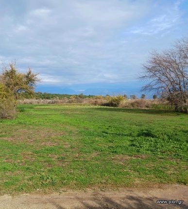 Οικόπεδο 4.000 τ.μ. για πώληση, Ν. Κέρκυρας, Κέρκυρα