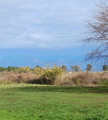 Οικόπεδο 4.000 τ.μ. για πώληση, Ν. Κέρκυρας, Κέρκυρα-thumb-1