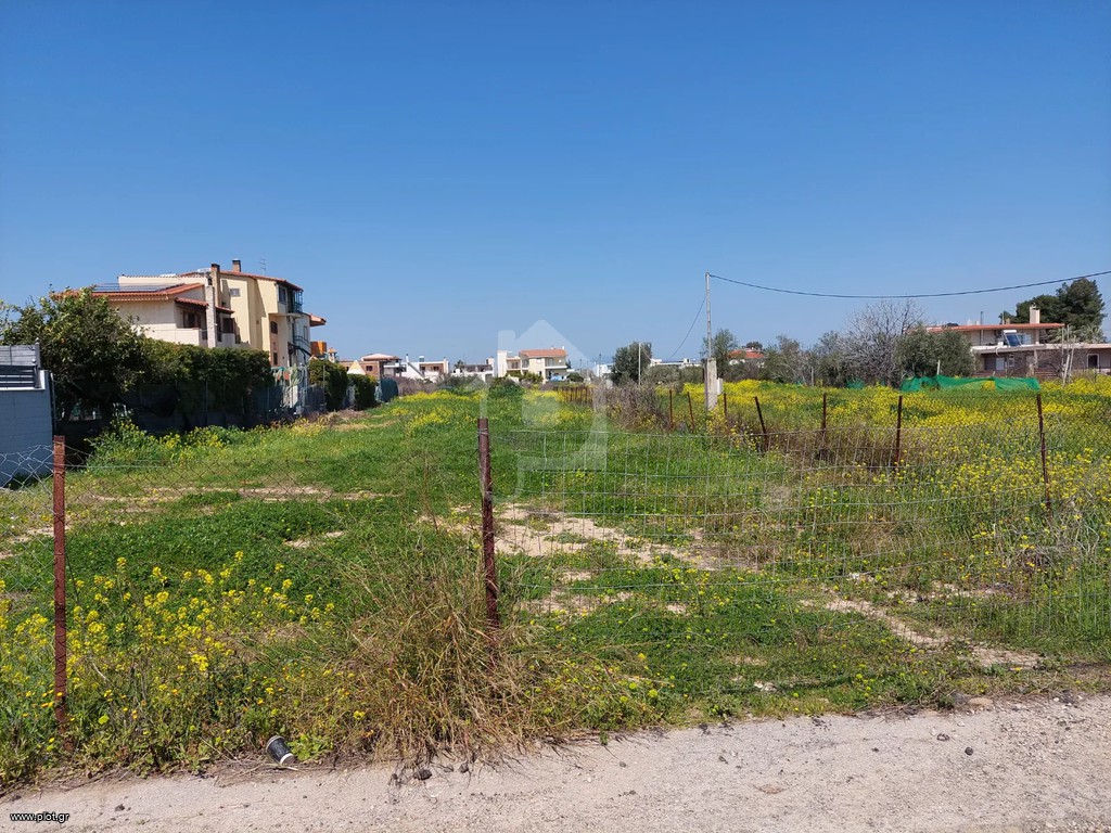 Οικόπεδο 1.128 τ.μ. προς πώληση, Παραλία Αυλίδας