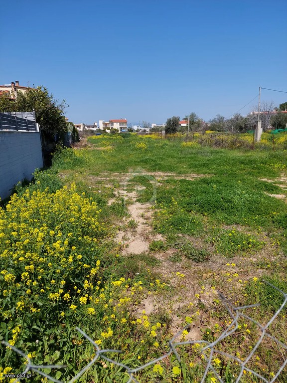 Οικόπεδο 1.128 τ.μ. προς πώληση, Παραλία Αυλίδας