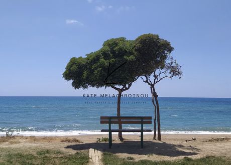 Ξενοδοχείο 891 τ.μ. για πώληση
