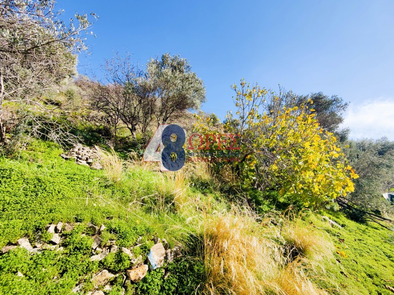 Οικόπεδο 2.352,89 τ.μ. προς πώληση, Πόλη Χίου