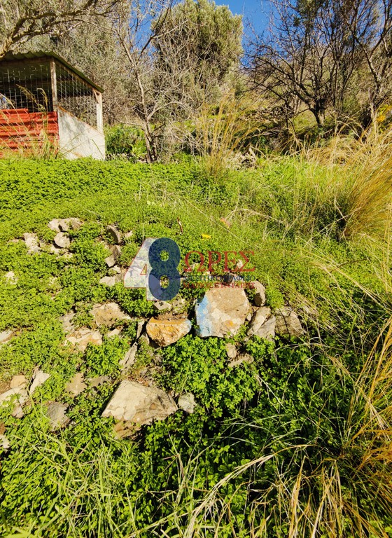 Οικόπεδο 2.352,89 τ.μ. προς πώληση, Πόλη Χίου
