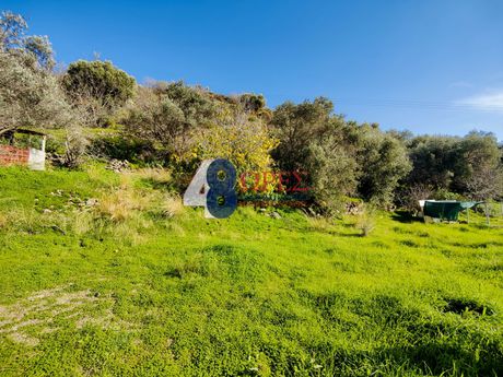 Οικόπεδο 2.352,89 τ.μ. για πώληση