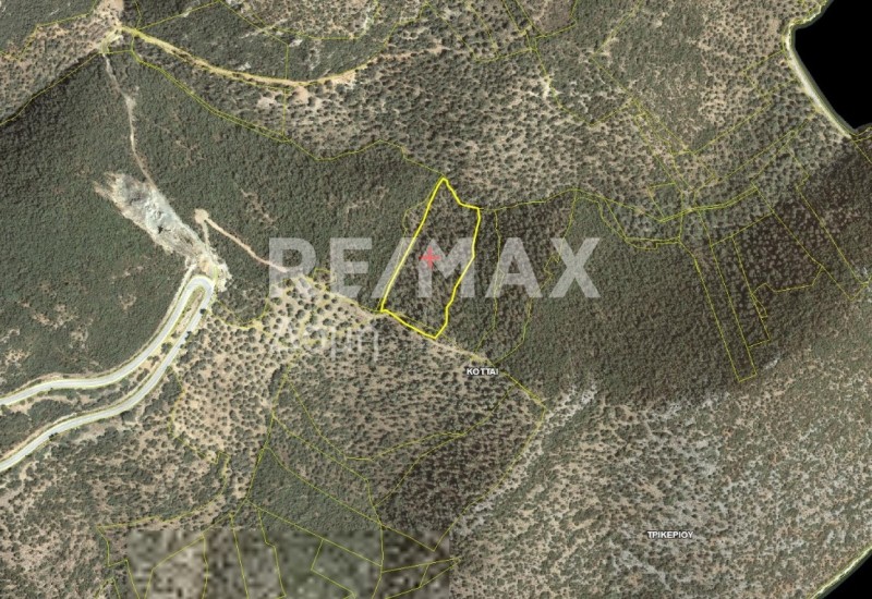 Αγροτεμάχια 8.117 τ.μ. πρός πώληση, Μαγνησία, Τρικέρι