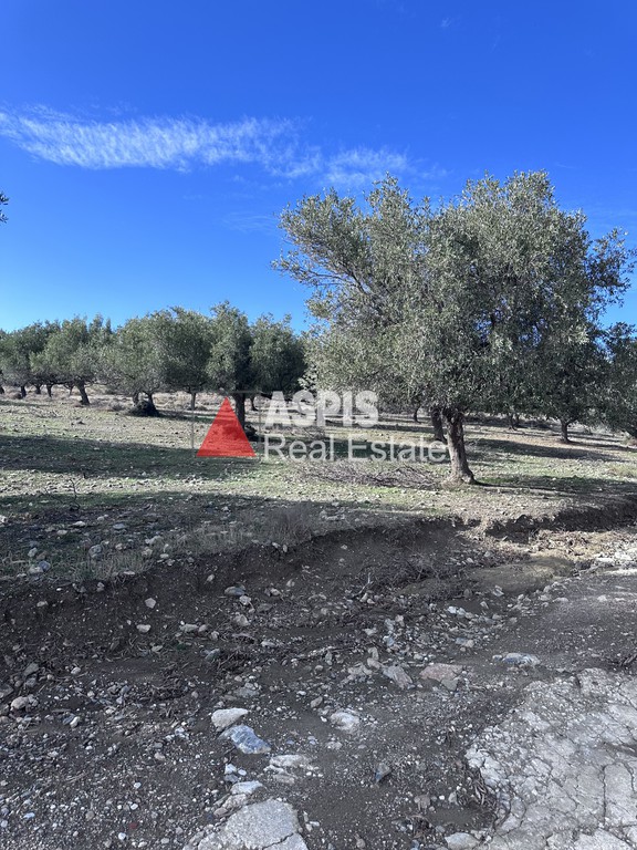 Οικόπεδο 4.200 τ.μ. πρός πώληση, Αττική - Υπόλοιπο, Κερατέα