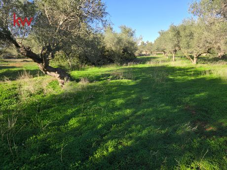 Parcel 4.050sqm for sale-Akrotiri