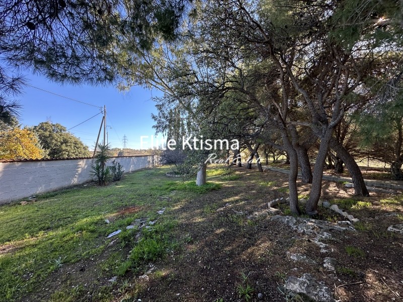 Επιχειρηματικό κτίριο 129 τ.μ. πρός ενοικίαση, Αττική - Υπόλοιπο, Κερατέα