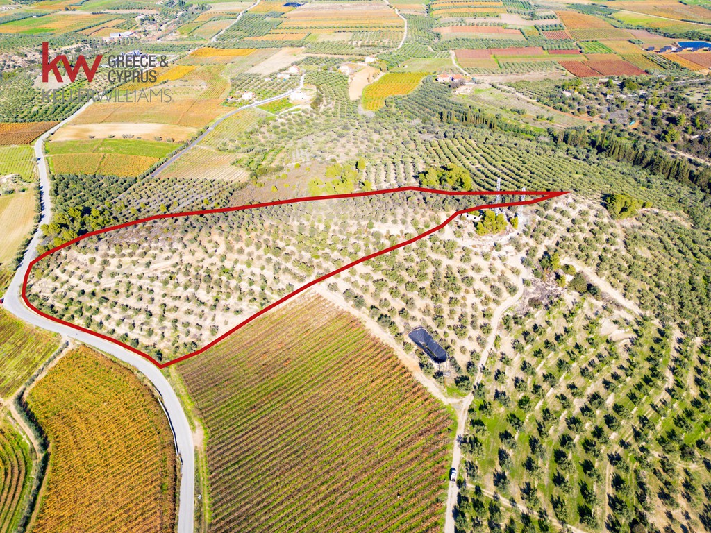 Αγροτεμάχια 25.891,62 τ.μ. προς πώληση, Ζευγολατιό Βόχας
