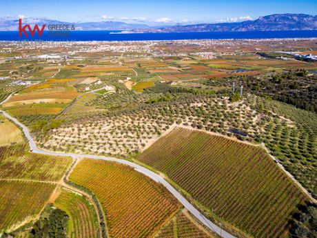Parcel 25.891,62sqm for sale-Vocha