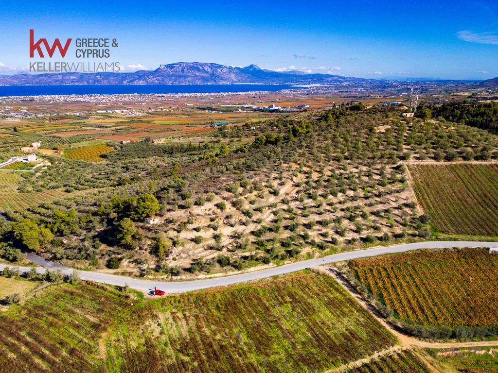 Αγροτεμάχια 25.891,62 τ.μ. προς πώληση, Ζευγολατιό Βόχας