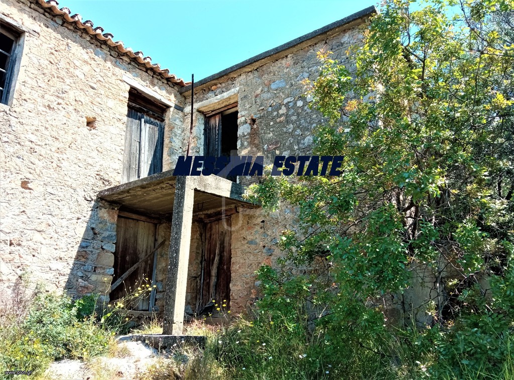 Αγροτεμάχια 27.000 τ.μ. για πώληση, Μεσσηνία, Αβία