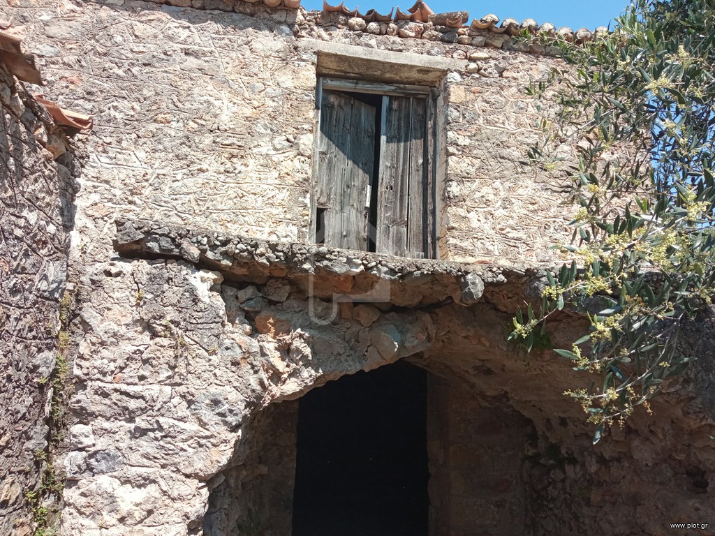 Αγροτεμάχια 27.000 τ.μ. πρός πώληση, Μεσσηνία, Αβία