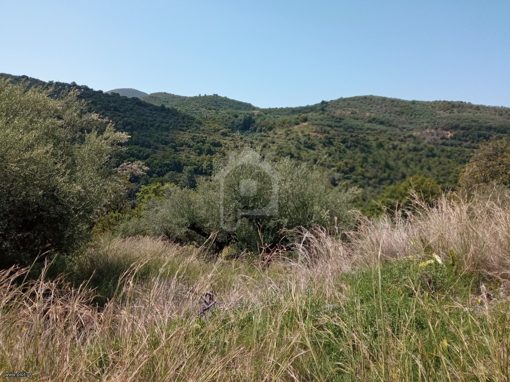 Αγροτεμάχια 27.000 τ.μ. πρός πώληση, Μεσσηνία, Αβία