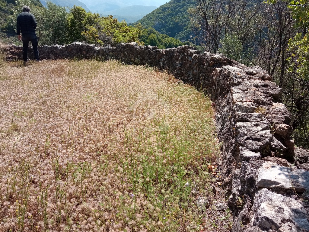 Αγροτεμάχια 27.000 τ.μ. πρός πώληση, Μεσσηνία, Αβία