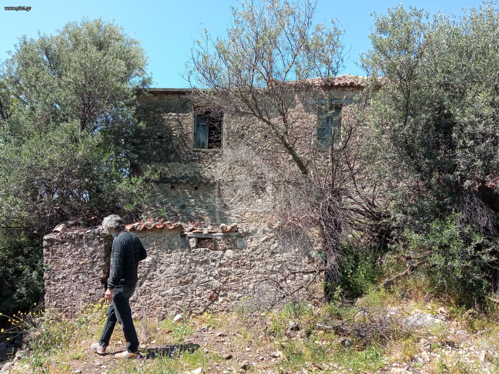 Αγροτεμάχια 27.000 τ.μ. πρός πώληση, Μεσσηνία, Αβία