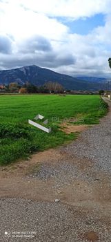 Αγροτεμάχια 9.500 τ.μ. για πώληση