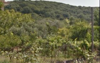 Οικόπεδο 569 τ.μ. για πώληση, Ν. Πρέβεζας, Πρέβεζα-thumb-1