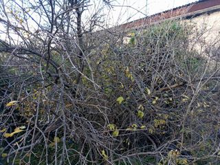 Οικόπεδο 3.500 τ.μ. για πώληση, Ν. Ηρακλείου, Ζαρός-thumb-2