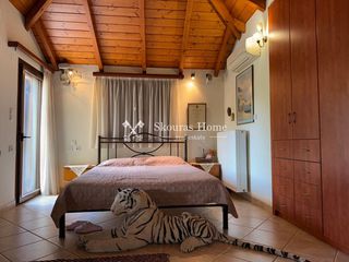 Studio / γκαρσονιέρα 42 τ.μ. πρός ενοικίαση, Ν. Ιωαννίνων, Ανατολή-thumb-17