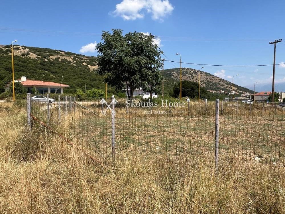 Οικόπεδο 748 τ.μ. πρός πώληση, Ν. Ιωαννίνων, Μπιζάνιο