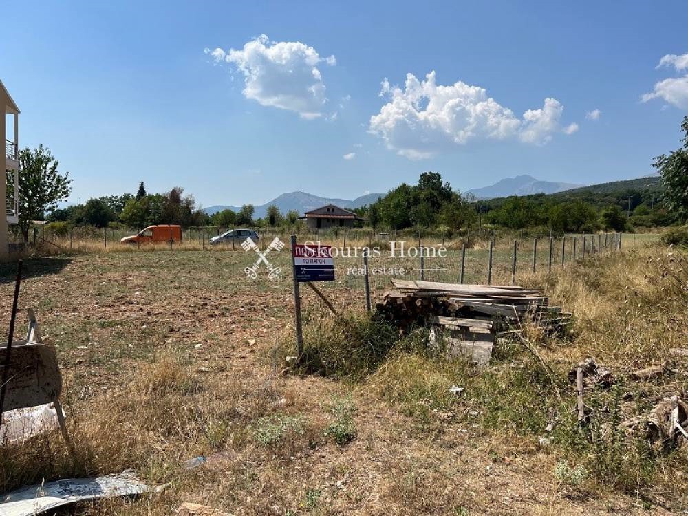 Οικόπεδο 748 τ.μ. πρός πώληση, Ν. Ιωαννίνων, Μπιζάνιο