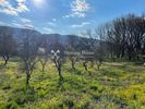 Parcel 3.200sqm for sale-Ioannina