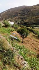 Αγροτεμάχια 4.200 τ.μ. για ενοικίαση, Κυκλάδες, Τήνος-thumb-6
