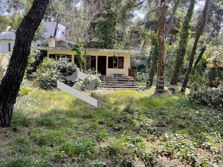 Οικόπεδο 1.300τ.μ. για πώληση-Εκάλη