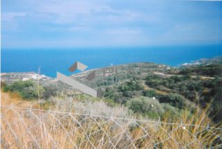 Οικόπεδο 18.781 τ.μ. για πώληση