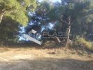 Αγροτεμάχια 230τ.μ. για πώληση-Αρτέμιδα (λούτσα)