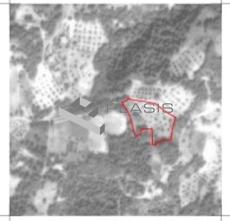 Αγροτεμάχια 8.076 τ.μ. για πώληση, Αττική - Υπόλοιπο, Κάλαμος