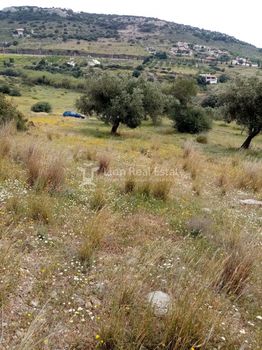 Αγροτεμάχια 4.000τ.μ. για πώληση-Κερατέα » Κέντρο