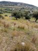 Parcel 4.000sqm for sale-Keratea » Center