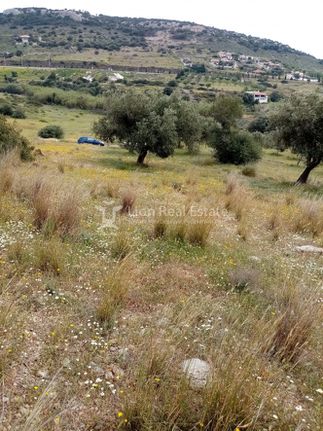 Αγροτεμάχια 4.000 τ.μ. για πώληση, Αττική - Υπόλοιπο, Κερατέα