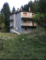 Οικόπεδο 8.200 τ.μ. για πώληση, Αρκαδία, Βιτίνα-thumb-2