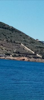 Αγροτεμάχια 18.000τ.μ. για πώληση-Κερατέα » Πεύκα
