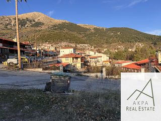 Οικόπεδο 1.480 τ.μ. για πώληση, Ευρυτανία, Καρπενήσι-thumb-7