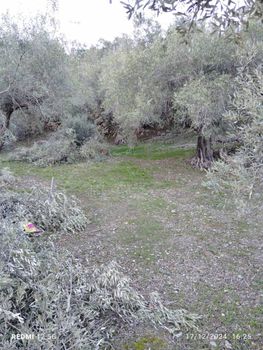 Parcel 3.146sqm for sale-Sikiona » Souli