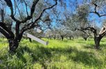 Land plot 234sqm for sale-Gerakas