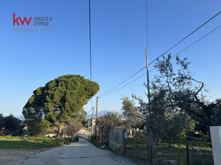 Οικόπεδο 934 τ.μ. προς πώληση, Μιντιλόγλι-thumb-9