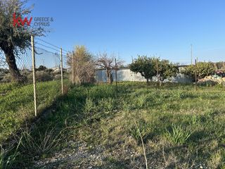 Οικόπεδο 934 τ.μ. προς πώληση, Μιντιλόγλι-thumb-11