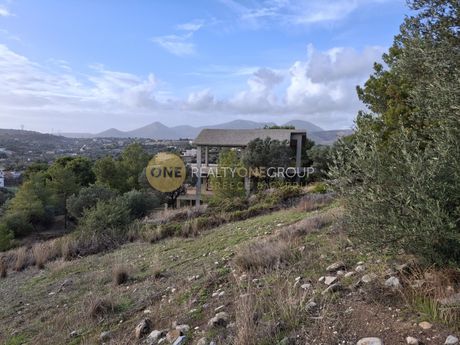 Οικόπεδο 5.000τ.μ. για πώληση-Κορωπί » Αγία μαρίνα
