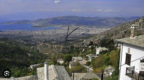 Ξενοδοχείο 1.500τ.μ. για πώληση-Πορταριά