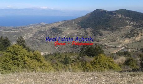 Μονοκατοικία 140τ.μ. για πώληση-Ακράτα » Βαλιμή