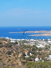 Οικόπεδο 6.500 τ.μ. για πώληση